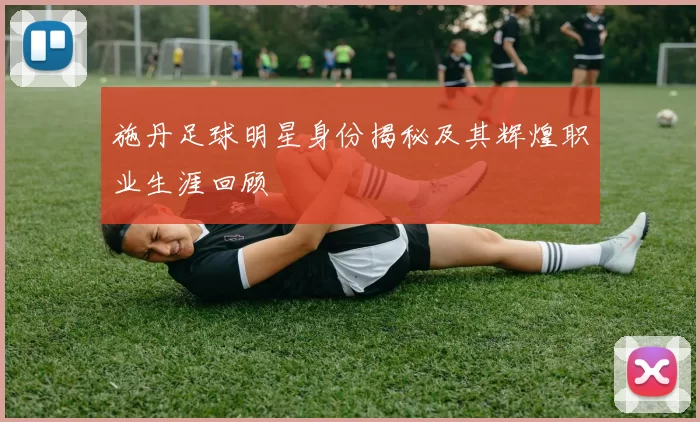 施丹足球明星身份揭秘及其辉煌职业生涯回顾