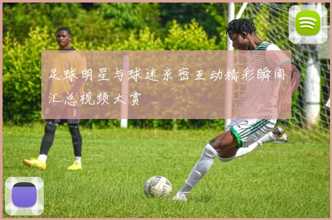 足球明星与球迷亲密互动精彩瞬间汇总视频大赏