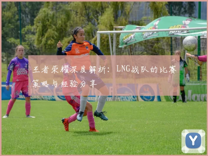 王者荣耀深度解析：LNG战队的比赛策略与经验分享
