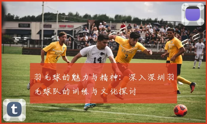 羽毛球的魅力与精神：深入深圳羽毛球队的训练与文化探讨
