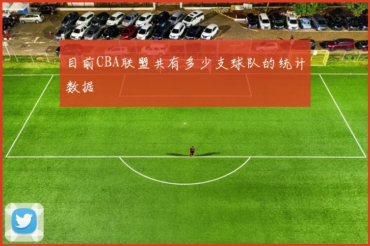 目前CBA联盟共有多少支球队的统计数据