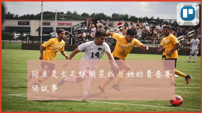 同桌是女足球明星我与她的青春赛场故事
