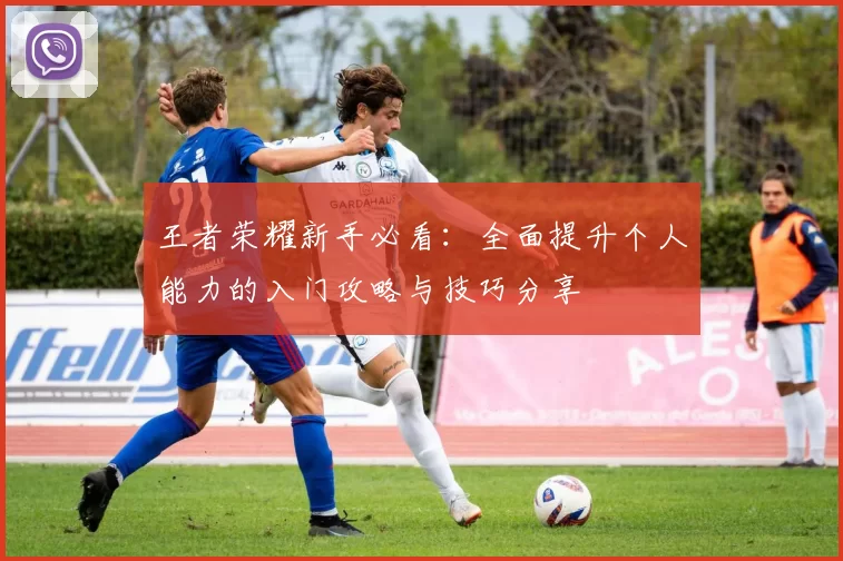 王者荣耀新手必看：全面提升个人能力的入门攻略与技巧分享