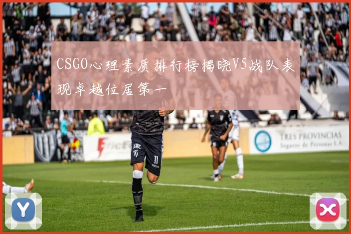 CSGO心理素质排行榜揭晓V5战队表现卓越位居第一