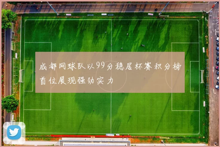 成都网球队以99分稳居杯赛积分榜首位展现强劲实力