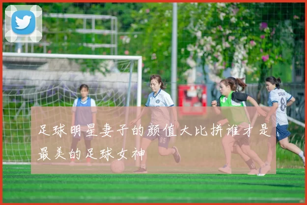 足球明星妻子的颜值大比拼谁才是最美的足球女神