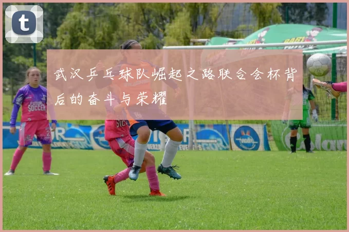 武汉乒乓球队崛起之路联合会杯背后的奋斗与荣耀