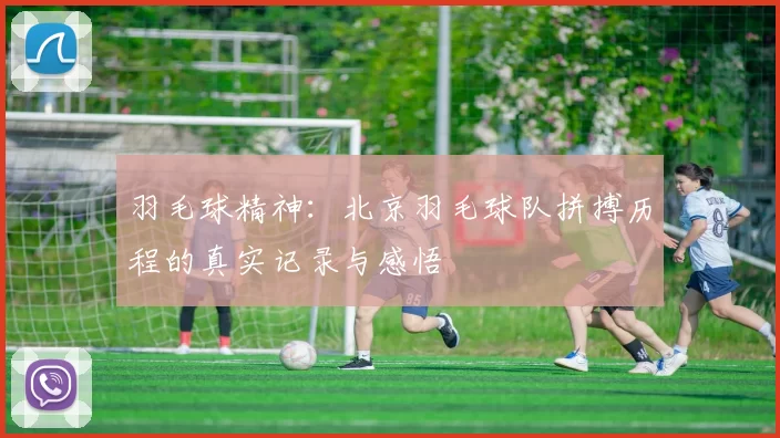 羽毛球精神：北京羽毛球队拼搏历程的真实记录与感悟
