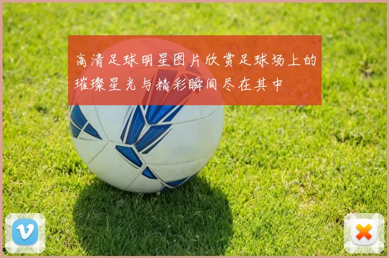 高清足球明星图片欣赏足球场上的璀璨星光与精彩瞬间尽在其中
