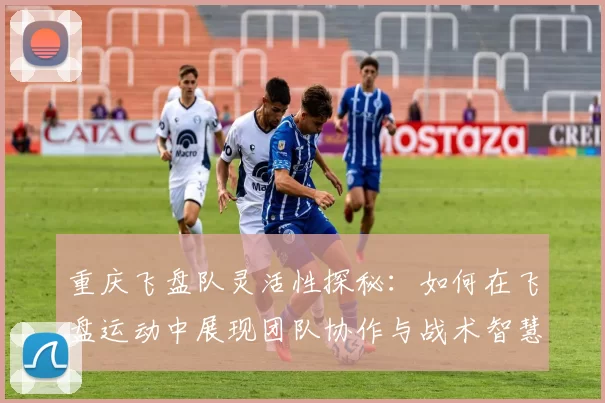 重庆飞盘队灵活性探秘：如何在飞盘运动中展现团队协作与战术智慧