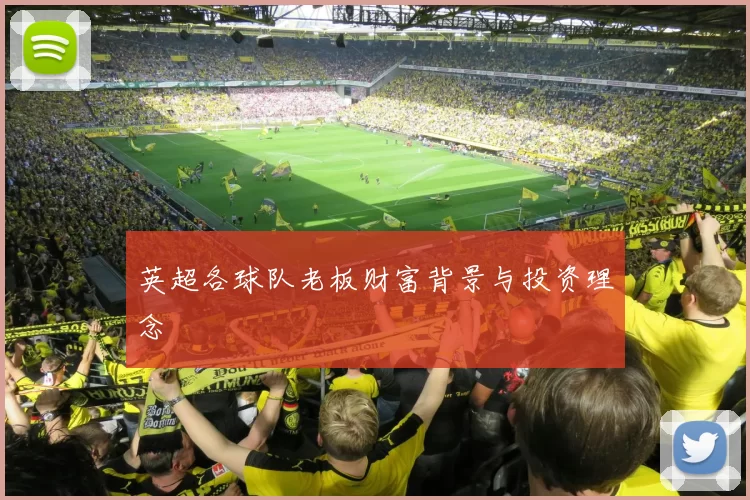 英超各球队老板财富背景与投资理念