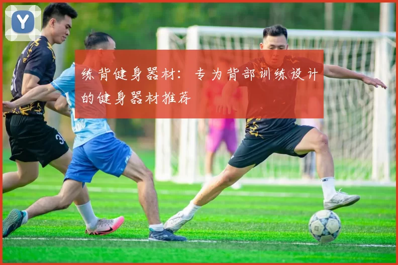 练背健身器材：专为背部训练设计的健身器材推荐