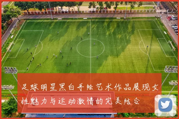 足球明星黑白手绘艺术作品展现女性魅力与运动激情的完美结合