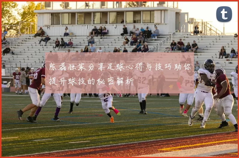 陈磊独家分享足球心得与技巧助你提升球技的秘密解析