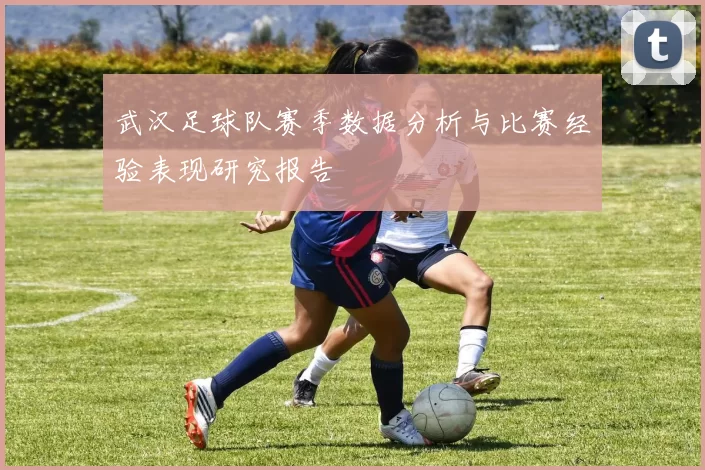 武汉足球队赛季数据分析与比赛经验表现研究报告