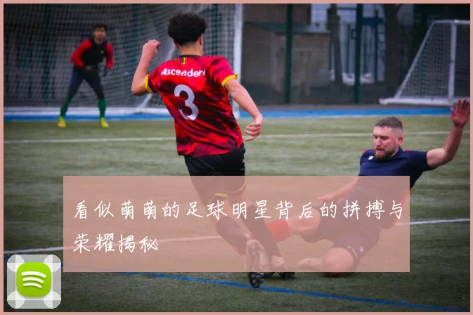 看似萌萌的足球明星背后的拼搏与荣耀揭秘
