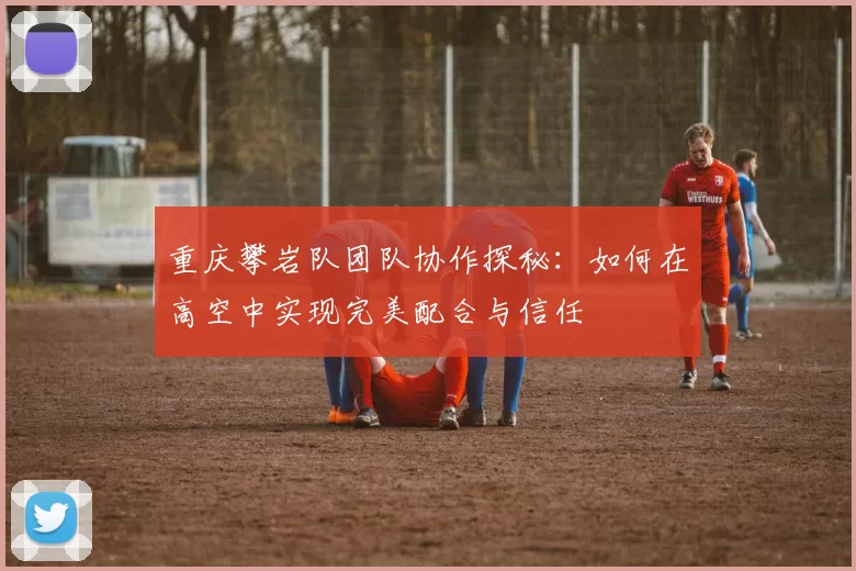 重庆攀岩队团队协作探秘：如何在高空中实现完美配合与信任