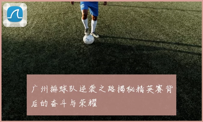 广州排球队逆袭之路揭秘精英赛背后的奋斗与荣耀